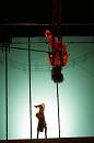 vertige du papillon 006 * 2336 x 3504 * (3.38MB)